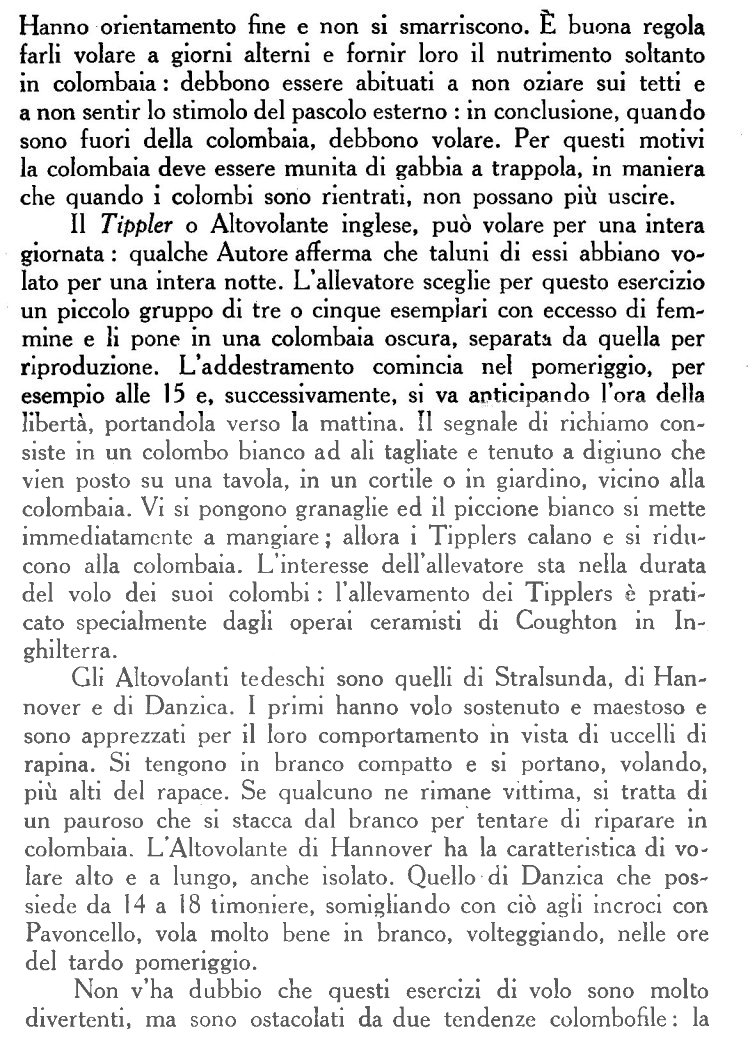altovolanti_0002.jpg