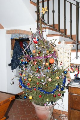 Albero di Natale.jpg