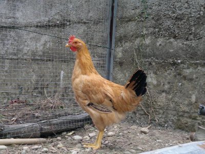 12092012291.jpg