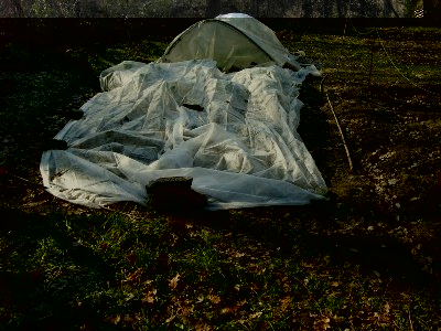 DSCN7171.JPG
