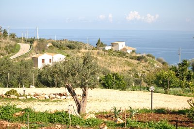 vista2.jpg