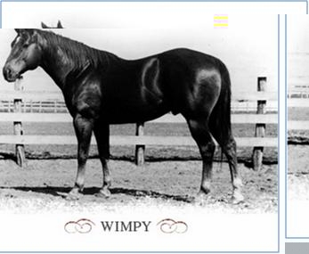 wimpy.JPG