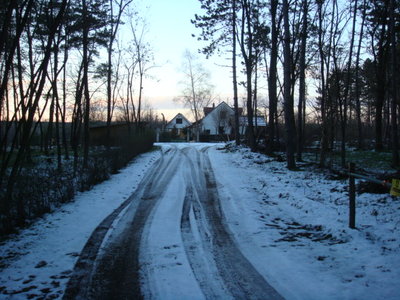 DSC03032.JPG