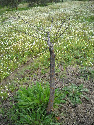 foto 099.jpg