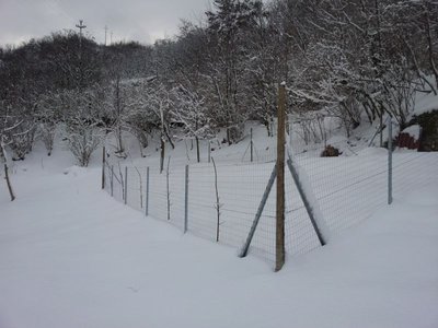 20130212_111016.jpg