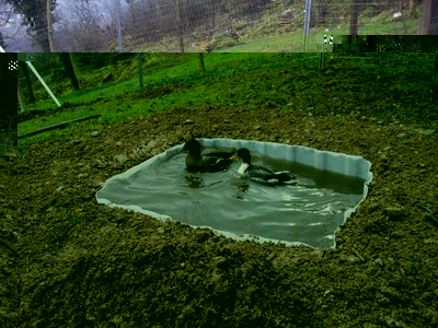 20130308_090706.jpg