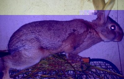 20130402_145037-1.jpg