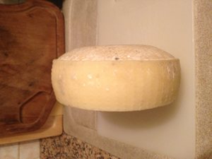 m_IMG_7236.jpg