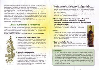 olio di semi di canapa_0001.jpg