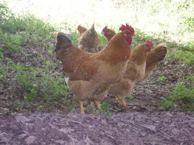 DSCN3079.JPG