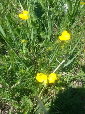 20130512_104012.jpg