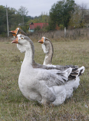 219280603_7.jpg