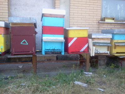 2013-06-14 16.36.29.jpg