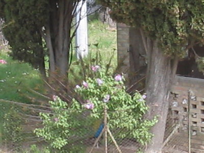 Tutto 004.jpg