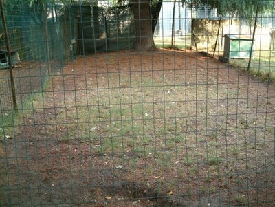 sgambatoio erba 2_798x600.JPG