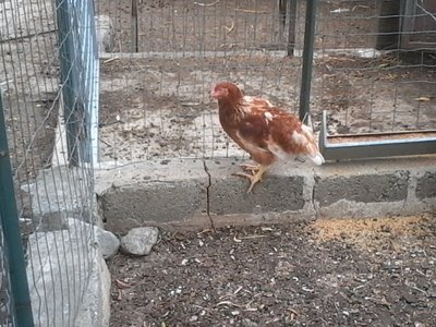 20130627_163122.jpg