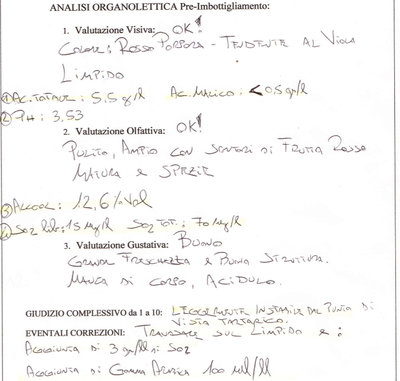 analisi_vino.jpg