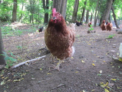 IMG_6435.JPG