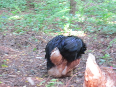 IMG_6443.JPG
