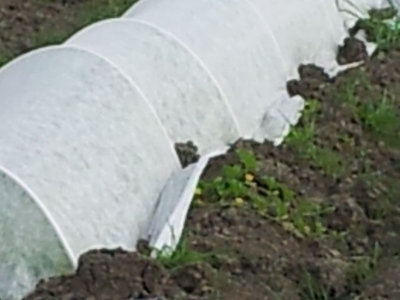 20130720_170633.jpg