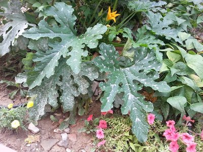 20130825_102517.jpg