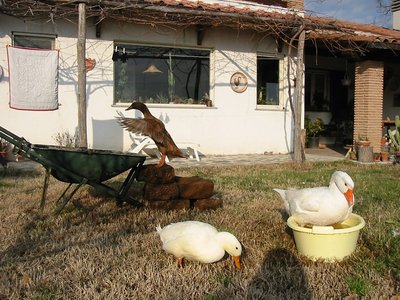 loro tre nel 2006 - IMG_4059.jpg