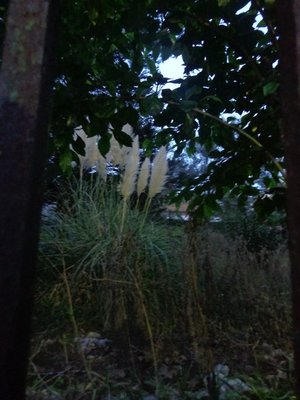 DSC05616.JPG