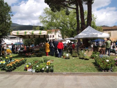 CastelloInFiore_edizione2013_3.JPG