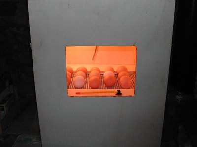 DSCN9018.JPG
