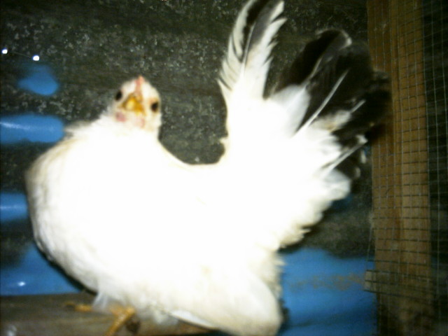 AAAA0113.JPG