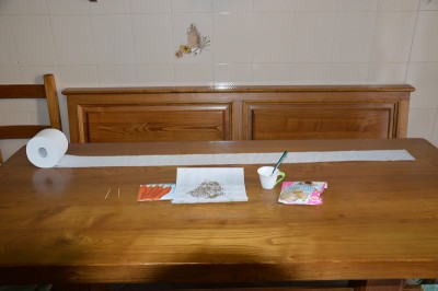 sempre prove di foto 004.JPG