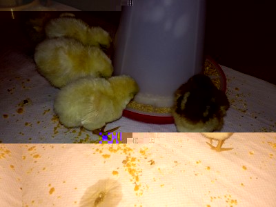 ristorante.jpg