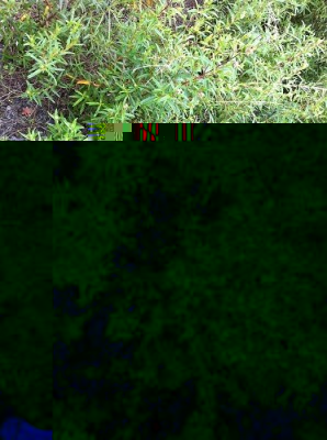 iphon2014 173.JPG