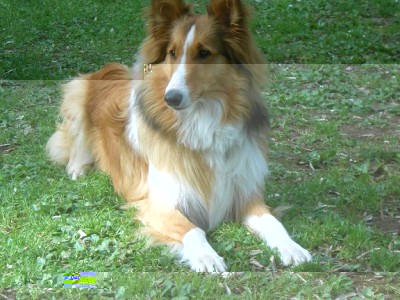 DSCN1850.JPG