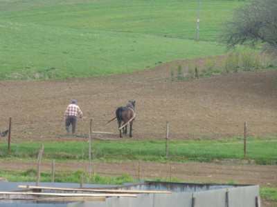 P1020004.JPG