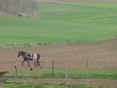 P1020007.JPG