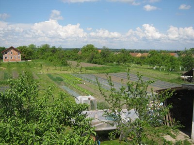 IMG_3979_800x600.jpg