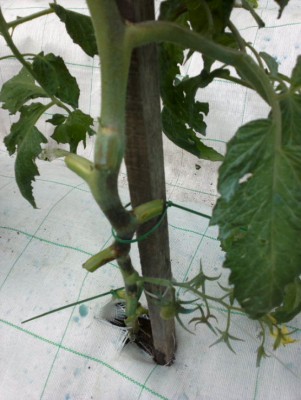 2014-05-07-625_1.jpg
