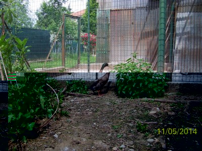100_6054.jpg