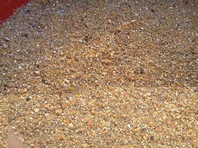 IMG78322.jpg