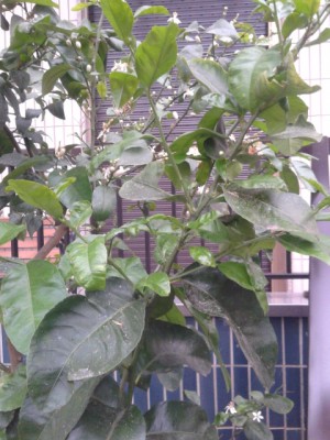 20140519_195511.jpg