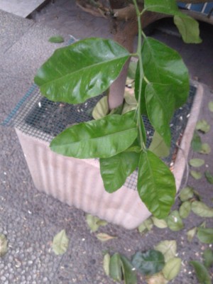 20140519_195519.jpg