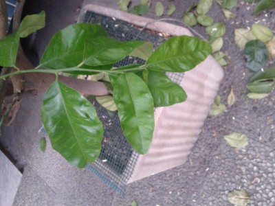20140519_195523.jpg
