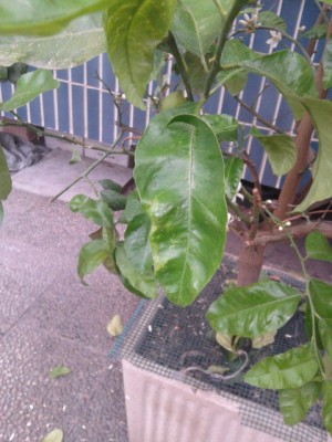 20140519_195530.jpg