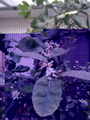 20140519_195541.jpg