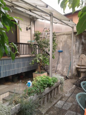20140520_091716.jpg