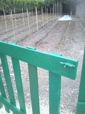 20140519_124435.jpg