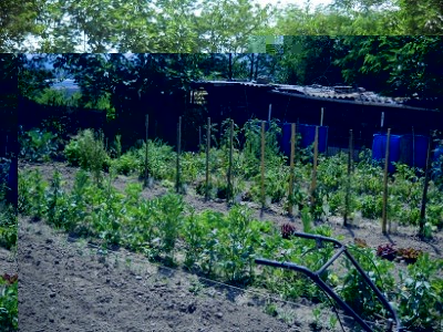 DSCN0544.JPG
