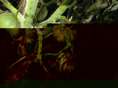 DSCN7790.JPG