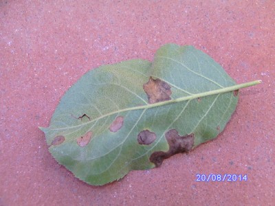 BILD0050.JPG